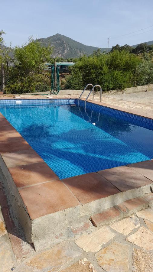 Las Palmeras - Ein Stueck Vom Paradies - Behagliches Haus Mit Pool Algodonales Ngoại thất bức ảnh